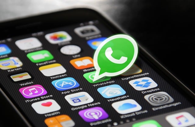 WhatsApp et WhatsApp Business