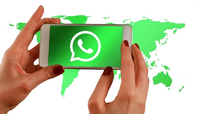 WhatsApp et WhatsApp Business